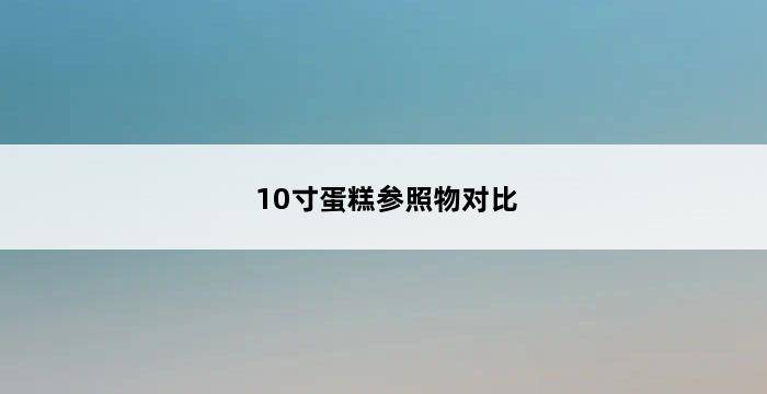 10寸蛋糕参照物对比 