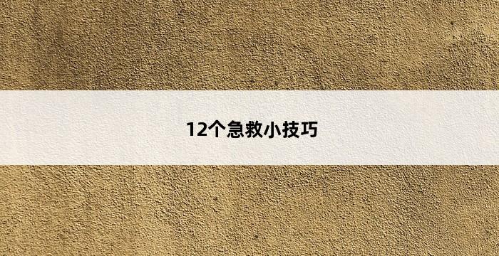 12个急救小技巧 