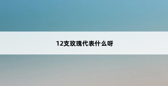 12支玫瑰代表什么呀 