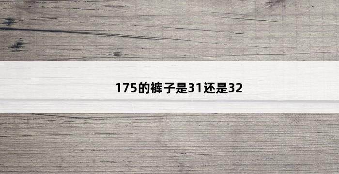 175的裤子是31还是32 