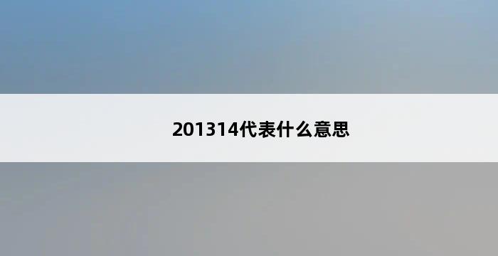 201314代表什么意思 