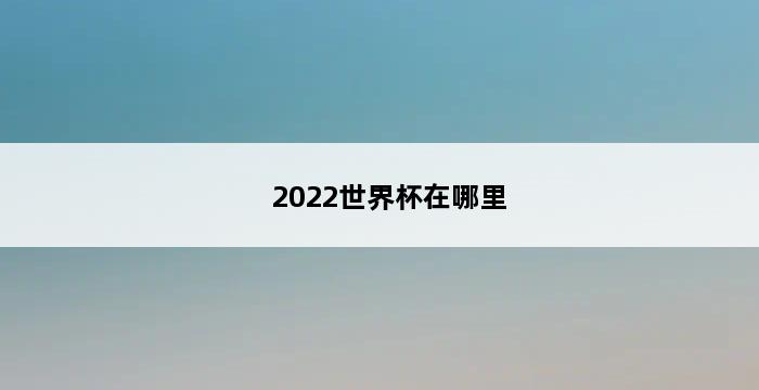 2022世界杯在哪里 