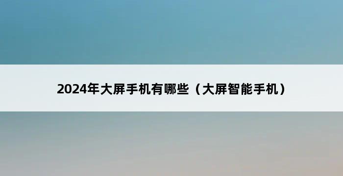 2024年大屏手机有哪些（大屏智能手机） 