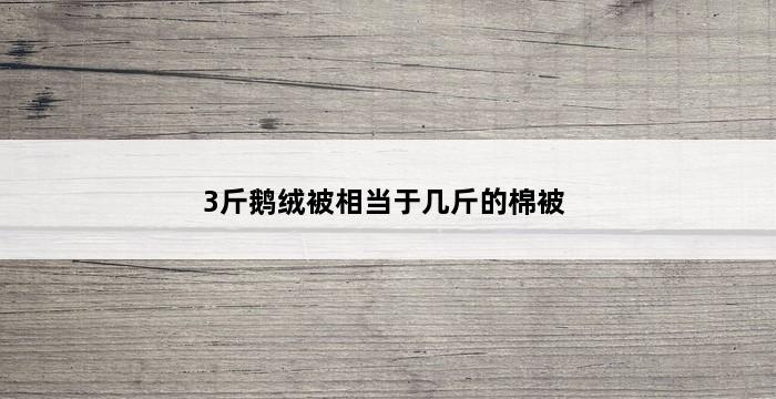 3斤鹅绒被相当于几斤的棉被 