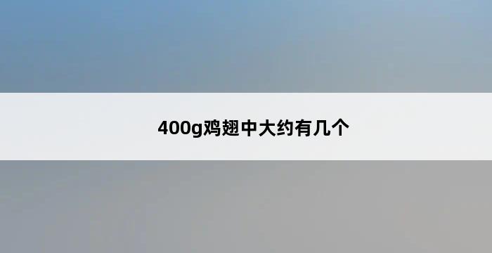 400g鸡翅中大约有几个 