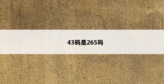 43码是265吗 