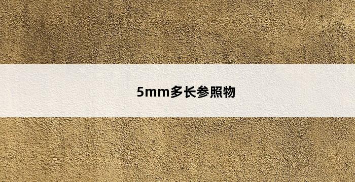 5mm多长参照物 