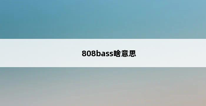 808bass啥意思 