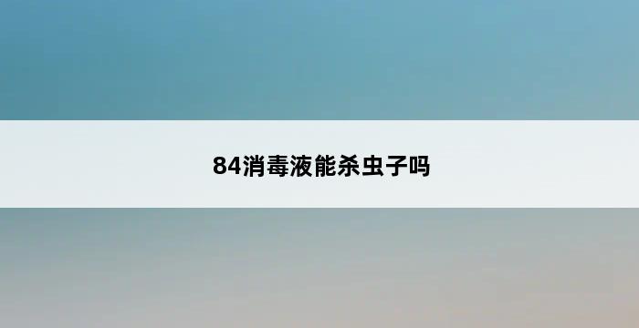 84消毒液能杀虫子吗 