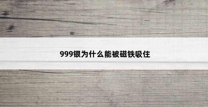 999银为什么能被磁铁吸住 