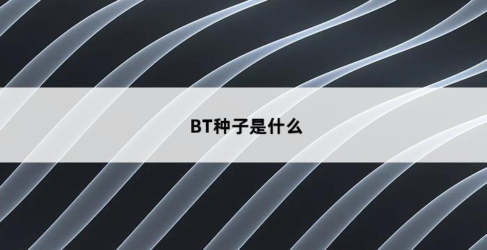 BT种子是什么 