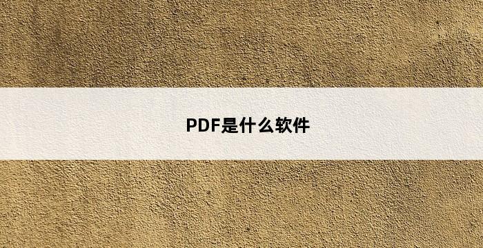 PDF是什么软件 