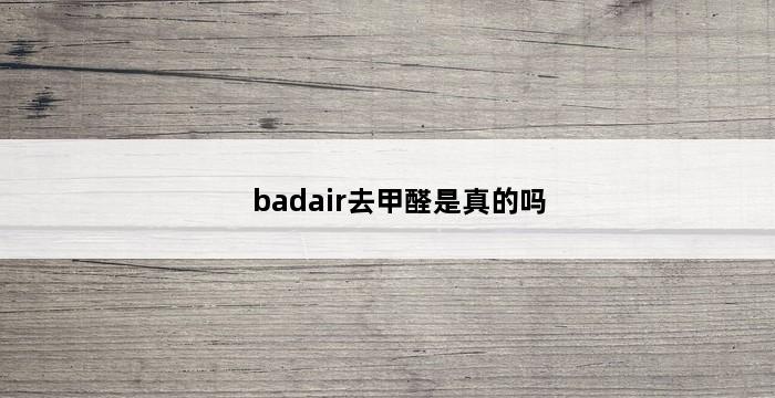 badair去甲醛是真的吗 