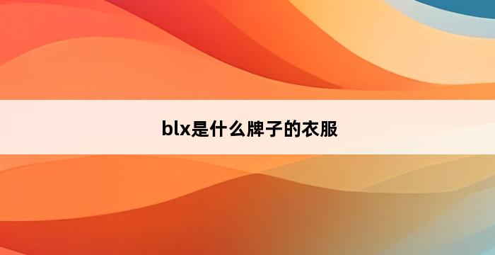 blx是什么牌子的衣服 