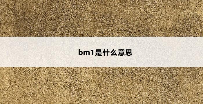 bm1是什么意思 