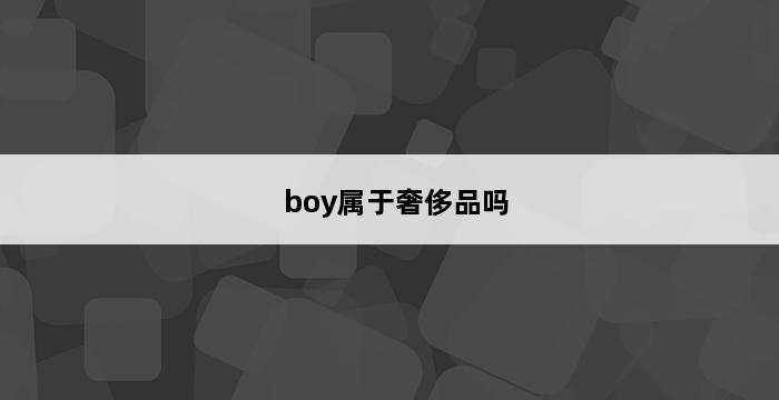 boy属于奢侈品吗 