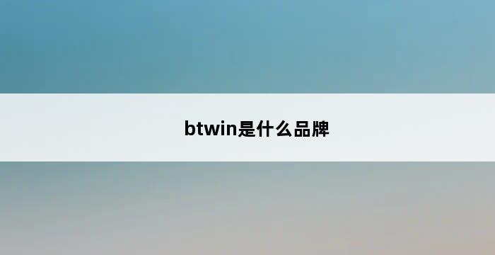 btwin是什么品牌 