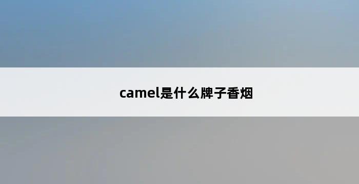 camel是什么牌子香烟 