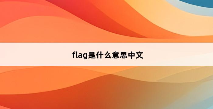 flag是什么意思中文 