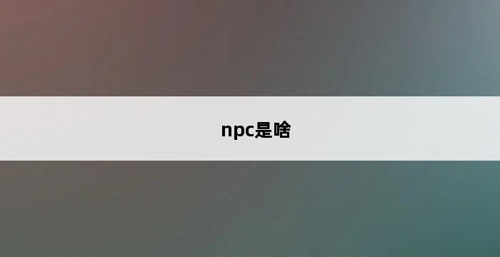 npc是啥 