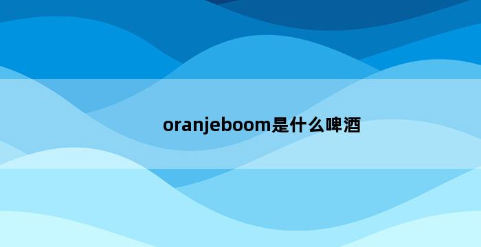 oranjeboom是什么啤酒 