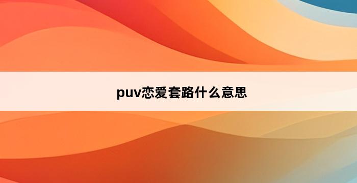 puv恋爱套路什么意思 