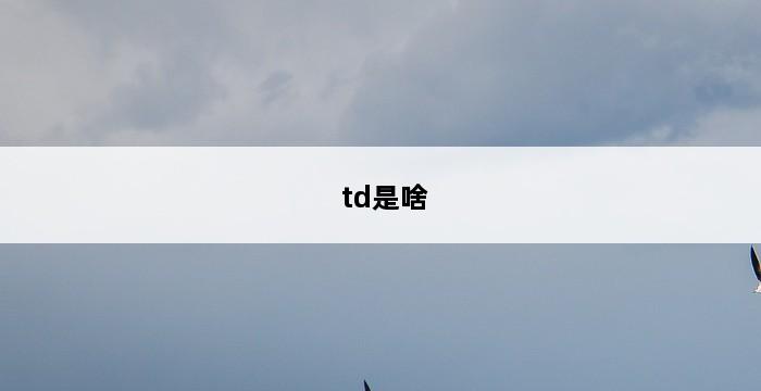 td是啥 