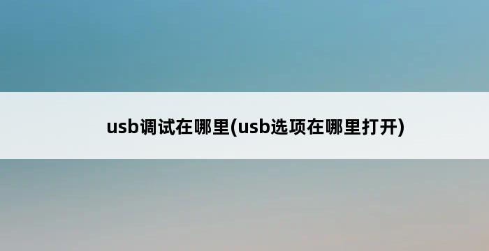 usb调试在哪里(usb选项在哪里打开) 