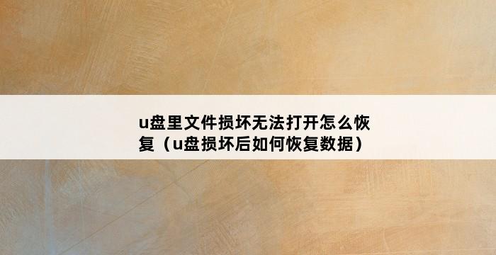 u盘里文件损坏无法打开怎么恢复（u盘损坏后如何恢复数据） 