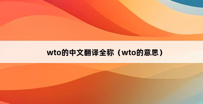 wto的中文翻译全称（wto的意思） 