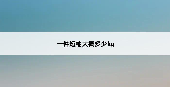 一件短袖大概多少kg 