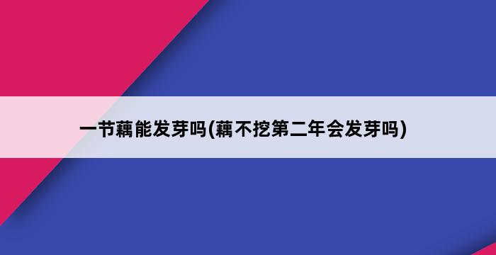 一节藕能发芽吗(藕不挖第二年会发芽吗) 