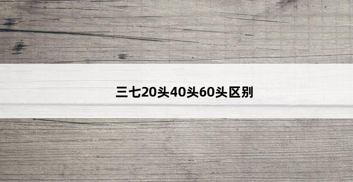 三七20头40头60头区别 