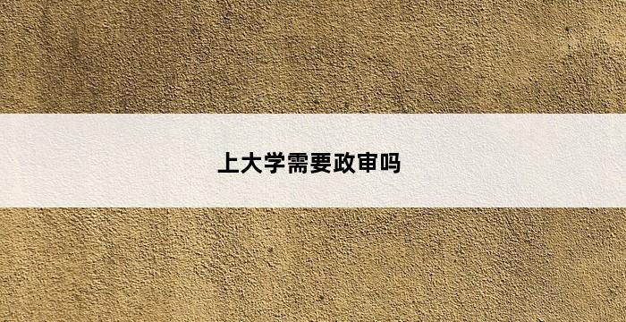 上大学需要政审吗 