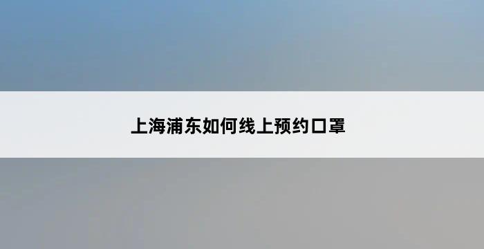 上海浦东如何线上预约口罩 