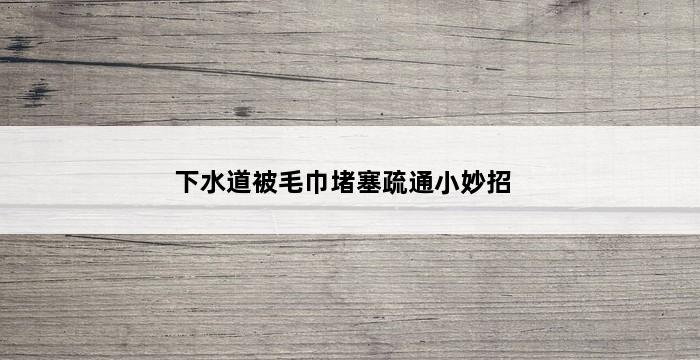 下水道被毛巾堵塞疏通小妙招 