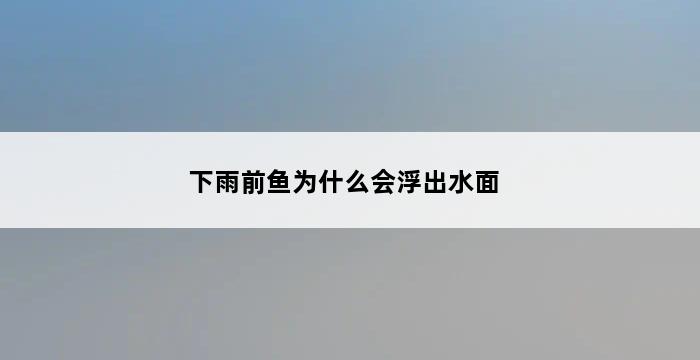 下雨前鱼为什么会浮出水面 