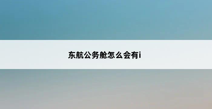 东航公务舱怎么会有i 