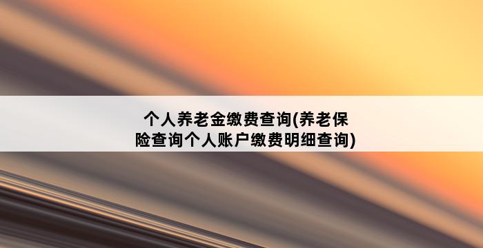 个人养老金缴费查询(养老保险查询个人账户缴费明细查询) 