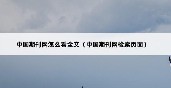 中国期刊网怎么看全文（中国期刊网检索页面） 