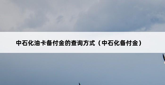 中石化油卡备付金的查询方式（中石化备付金） 