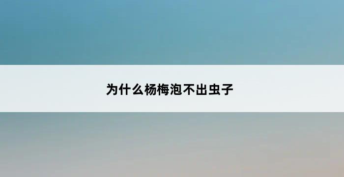 为什么杨梅泡不出虫子 