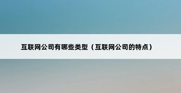 互联网公司有哪些类型（互联网公司的特点） 