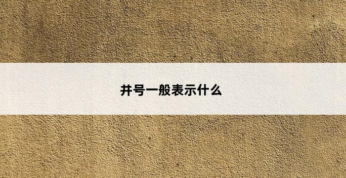 井号一般表示什么 