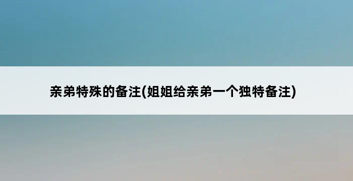 亲弟特殊的备注(姐姐给亲弟一个独特备注) 