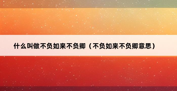 什么叫做不负如来不负卿（不负如来不负卿意思） 