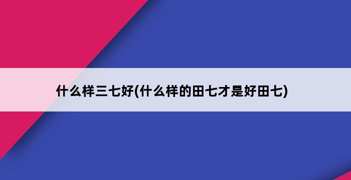 什么样三七好(什么样的田七才是好田七) 