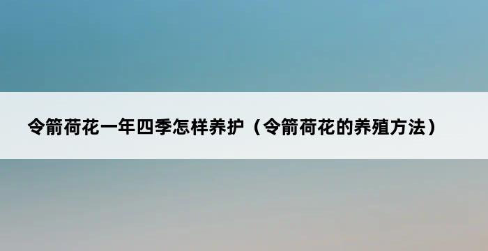 令箭荷花一年四季怎样养护（令箭荷花的养殖方法） 