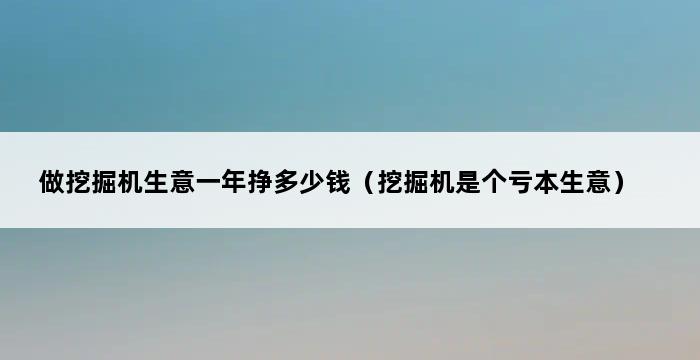 做挖掘机生意一年挣多少钱（挖掘机是个亏本生意） 