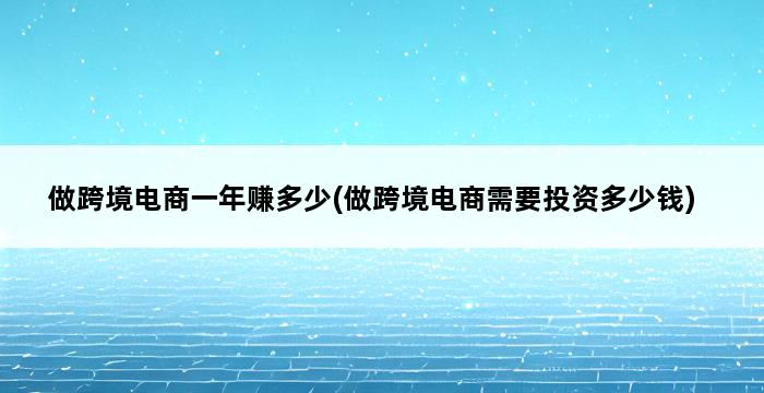 做跨境电商一年赚多少(做跨境电商需要投资多少钱) 